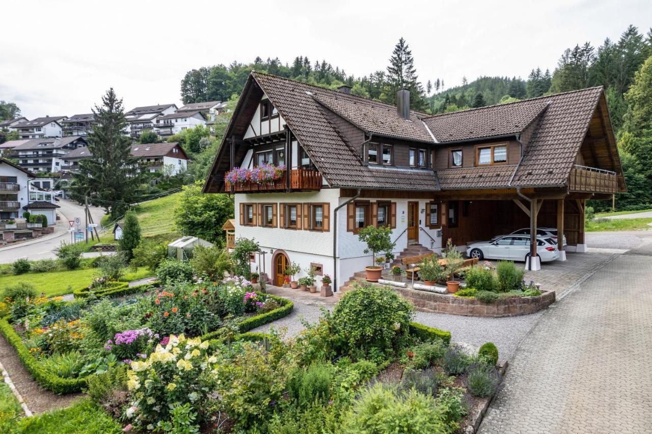 Am Doettelbach Daire Bad Peterstal-Griesbach Dış mekan fotoğraf