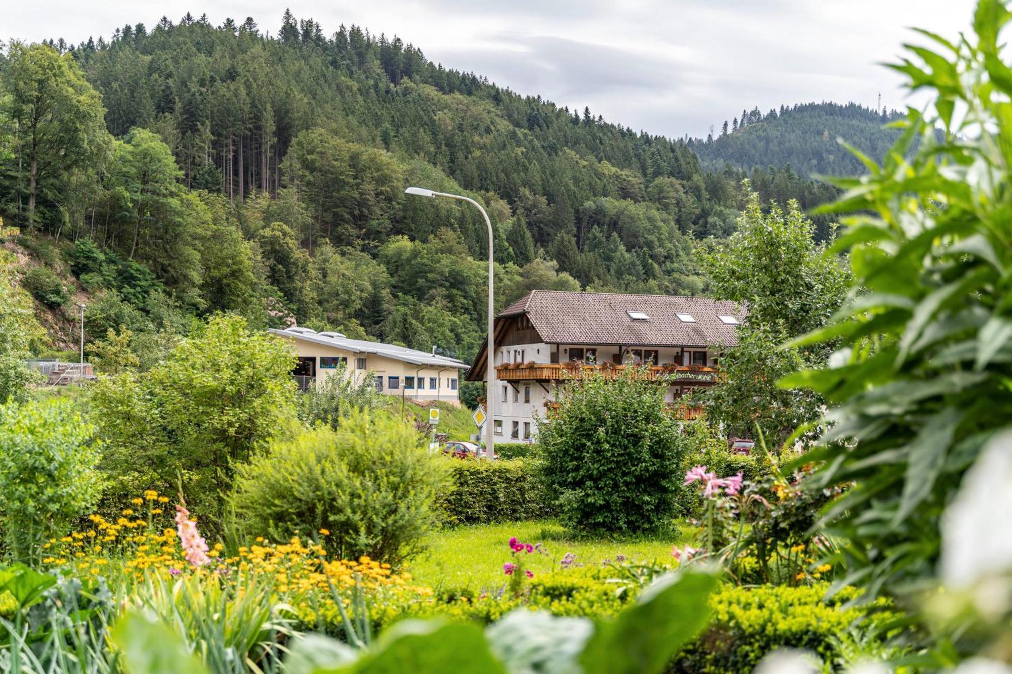 Am Doettelbach Daire Bad Peterstal-Griesbach Dış mekan fotoğraf
